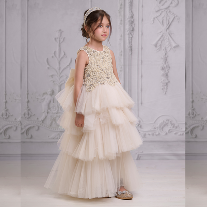 Aadia Tulle radiance Gown