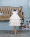 Sarah Pale Pink Tulle Gown