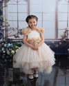 Aurora Special Princess Dress